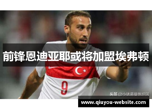 前锋恩迪亚耶或将加盟埃弗顿
