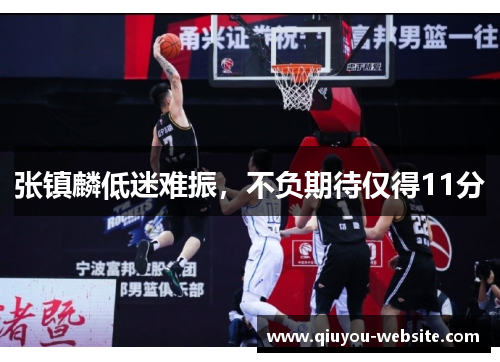 张镇麟低迷难振，不负期待仅得11分